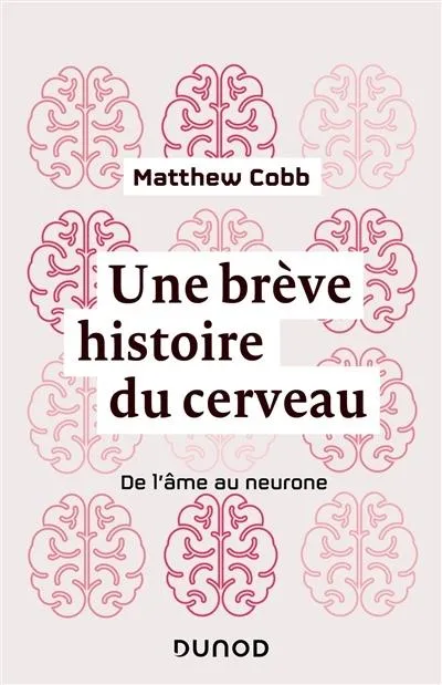 Une breve hist du cerveau